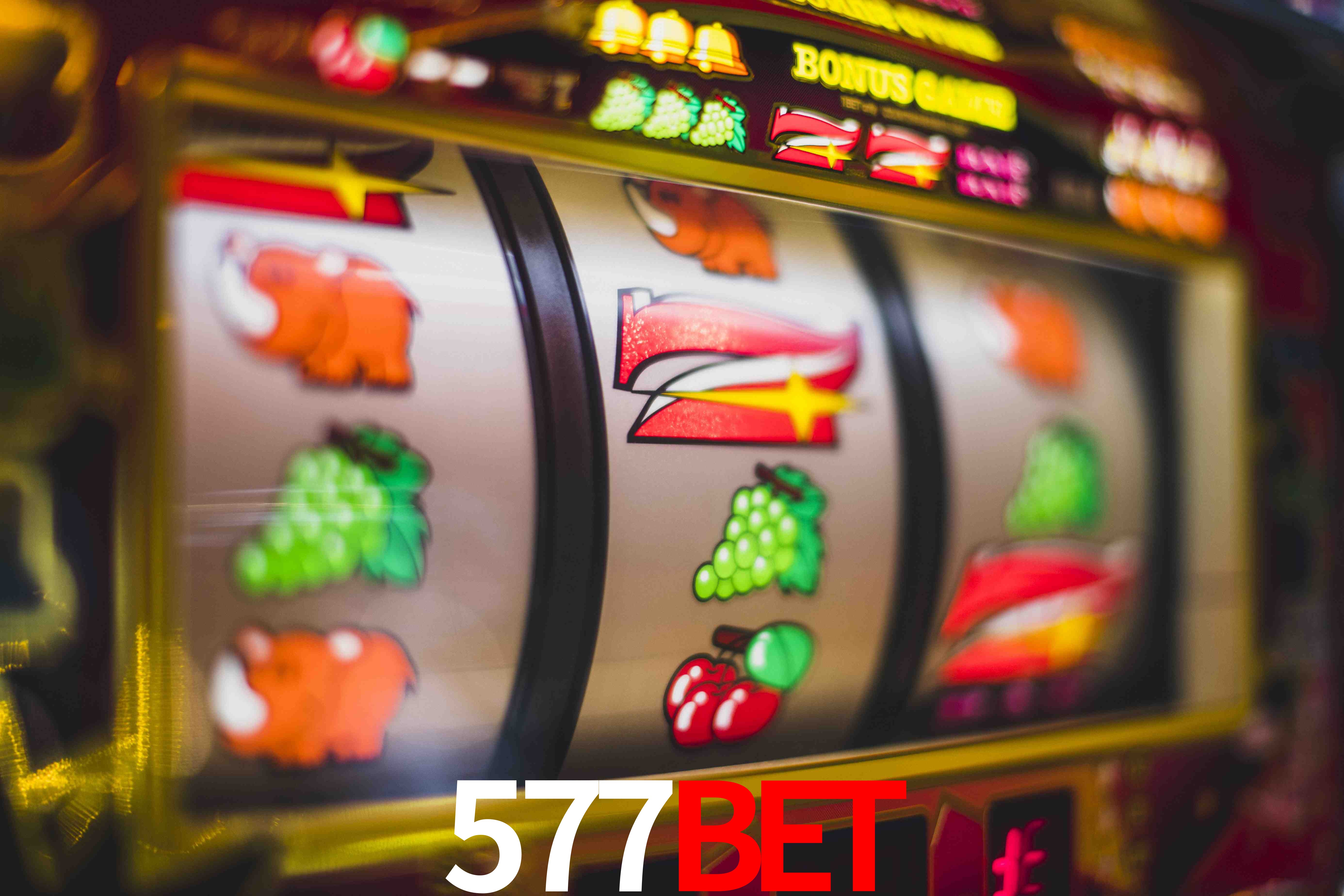 VIP Casino 577bet